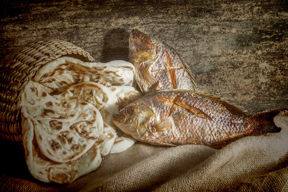 Mircale Fish Miracle Fish (Part 2) – Cicada Song
