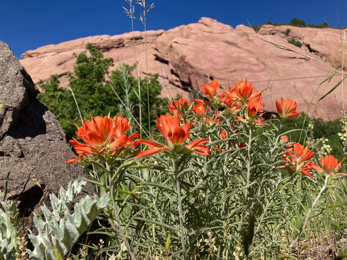 Favorite Nature Photos from 2025